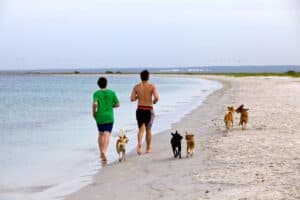 cc by Konstantin Zamkov